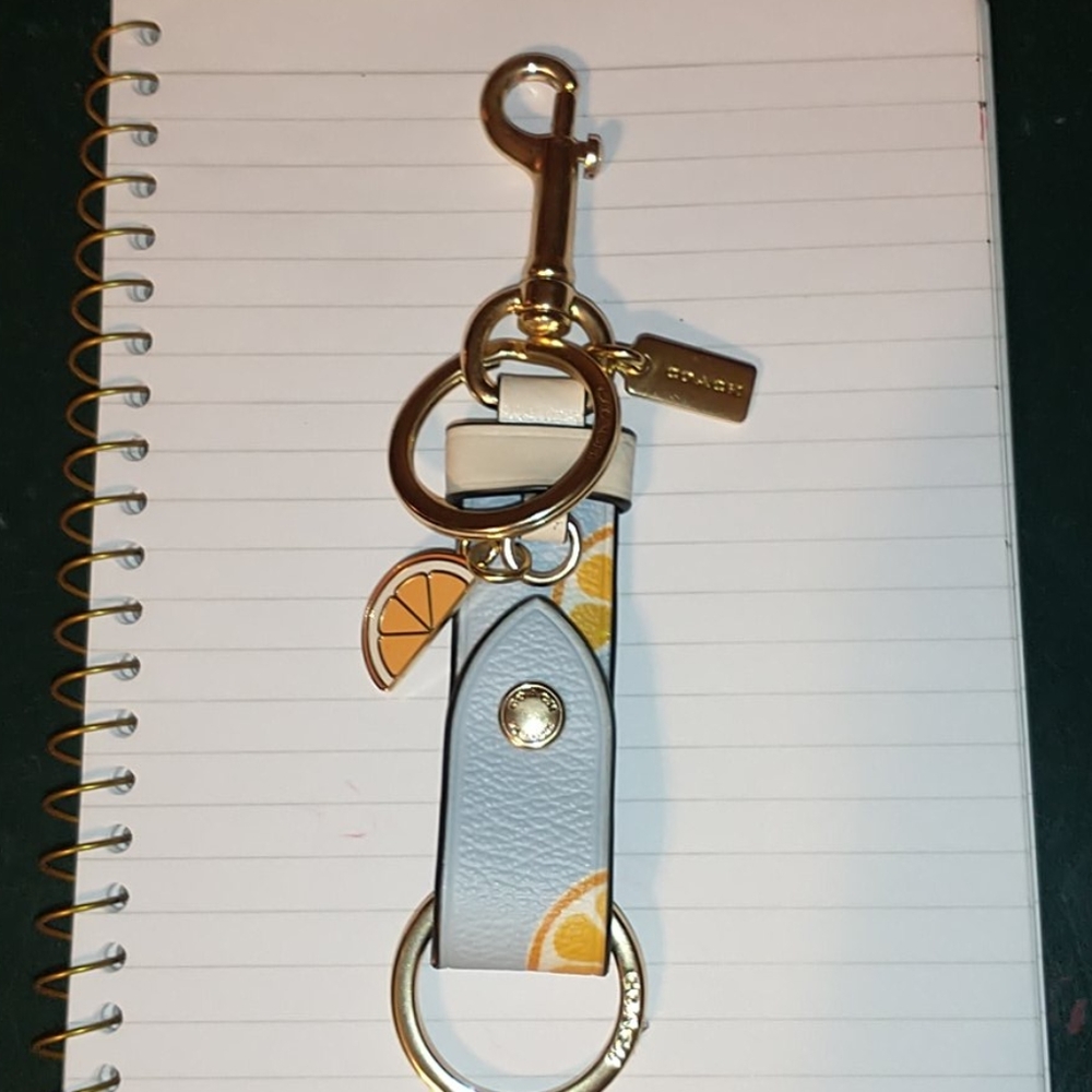 Keychain/Bag Charm